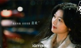 电视剧冬至在线观看,温情岁月里的悬疑谜案